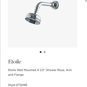 Waterworks Etoile Wall Mounted 4 1/2" Shower Rose (Head Only) Chrome Finish